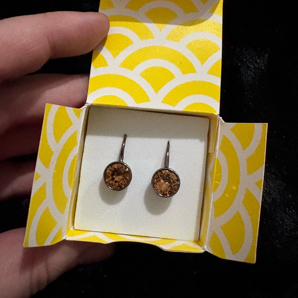 Origami Owl Earrings